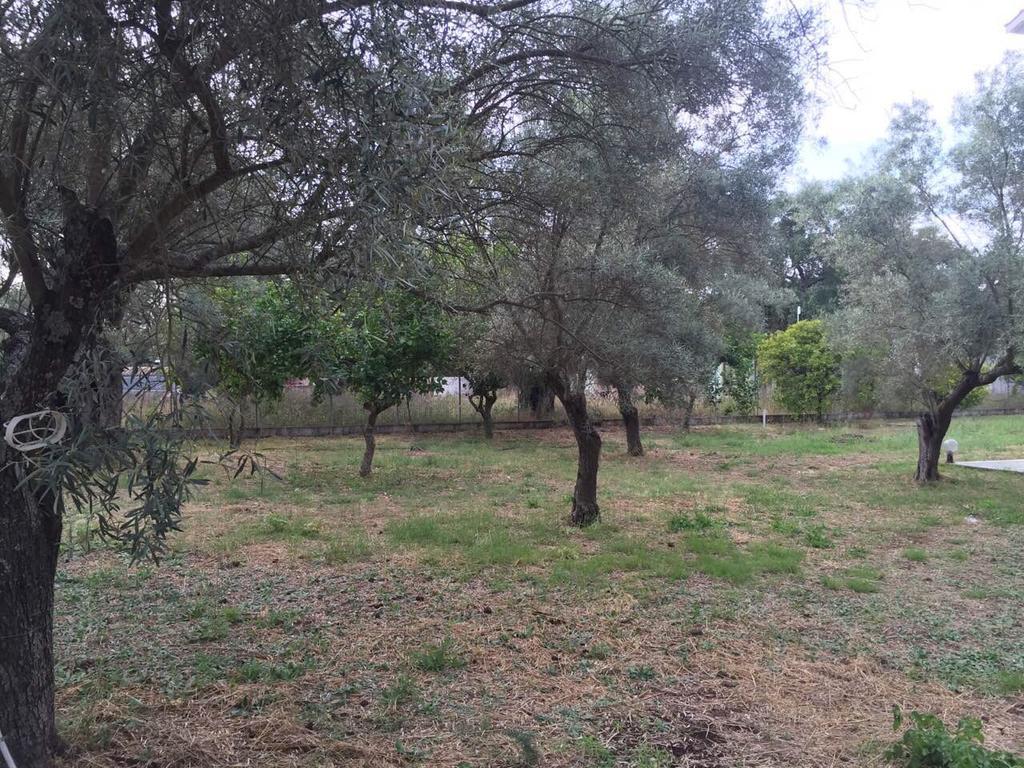 Sapfo Studios Lefkada Town Екстериор снимка