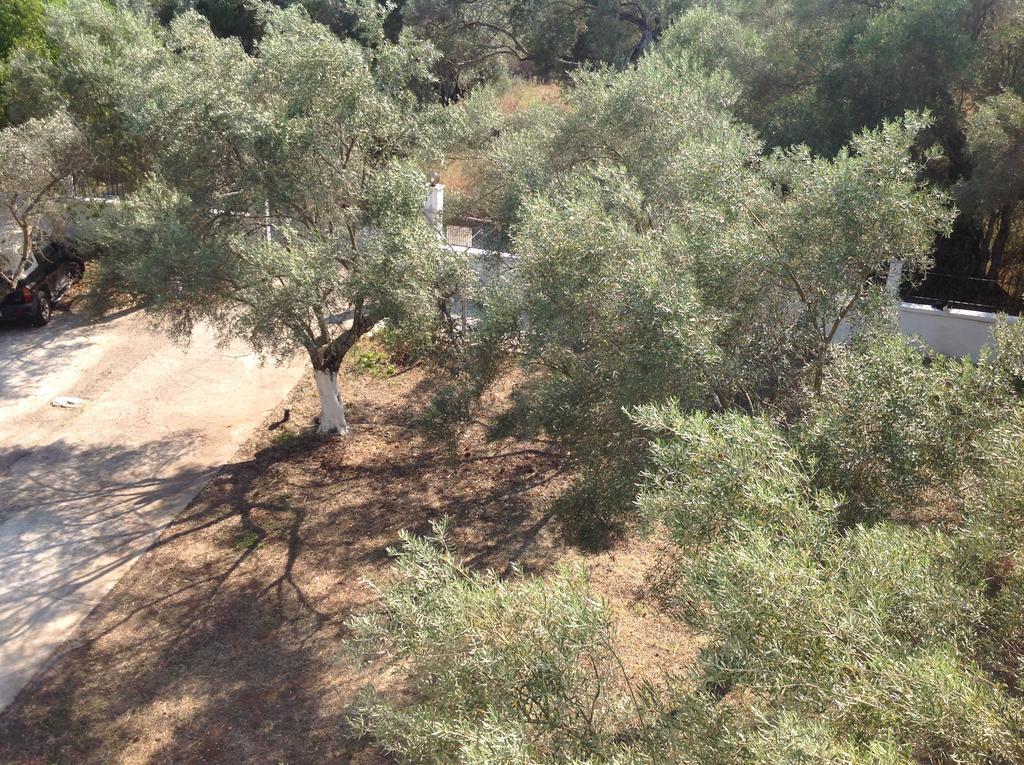 Sapfo Studios Lefkada Town Екстериор снимка